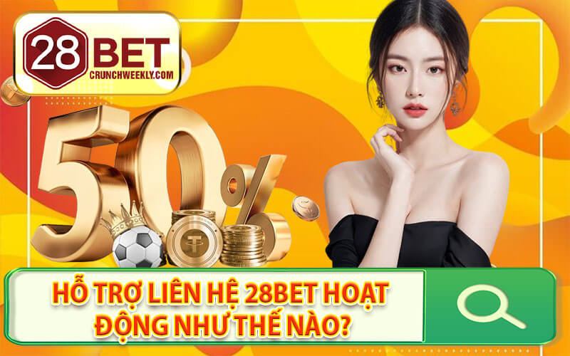 Liên hệ 28Bet